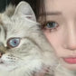 👁️ DUOXIU Korean Color Contact Lenses | Natural Gray & Blue Eyes